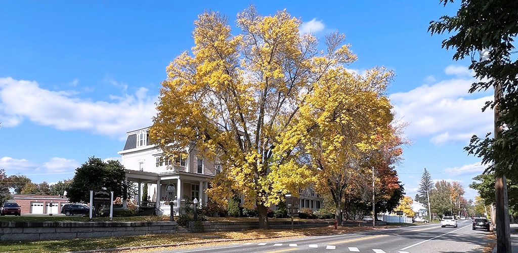 Our Office - Fall